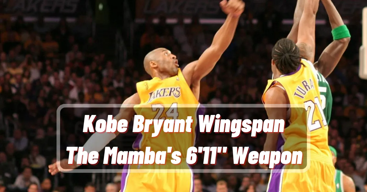 Kobe Bryant Wingspan The Mamba's 6'11 Weapon