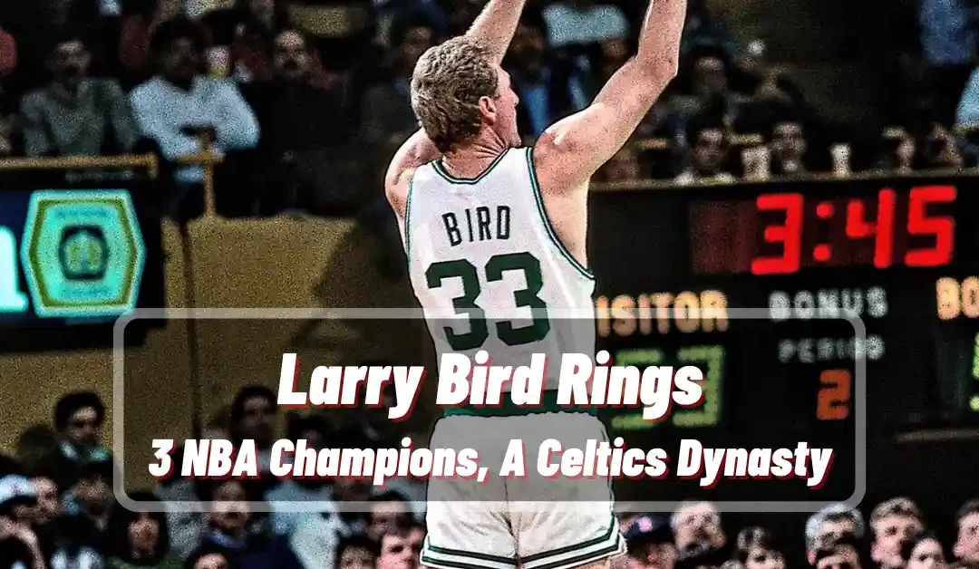 Larry Bird Rings: 3 NBA Champions, A Celtics Dynasty