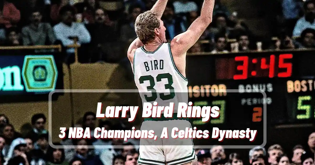 Larry Bird Rings 3 NBA Champions, A Celtics Dynasty