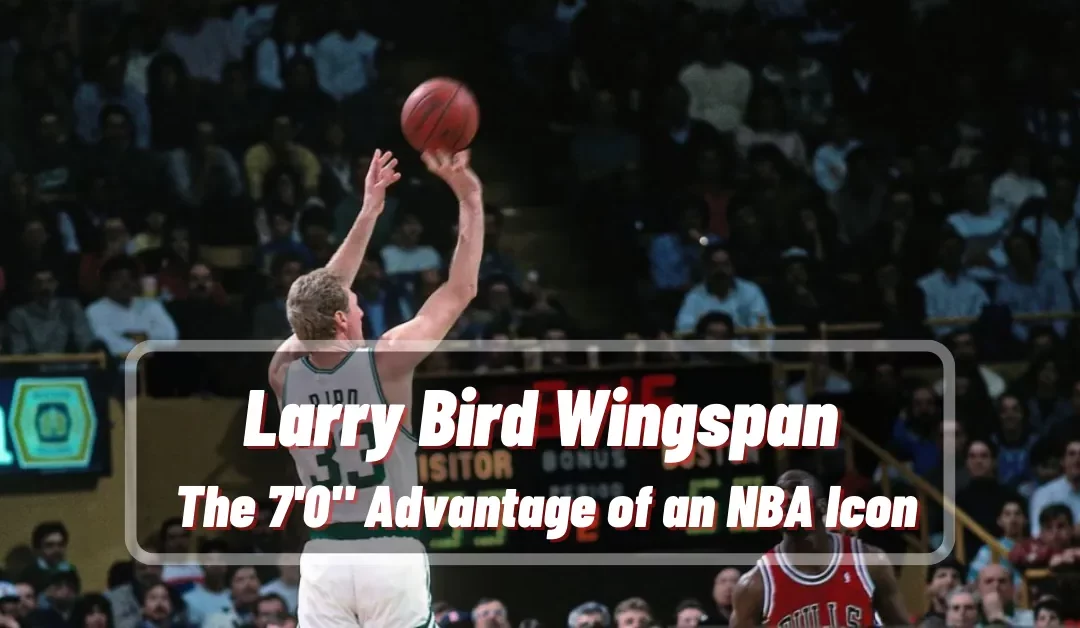 Larry Bird Wingspan: The 7’0″ Advantage of an NBA Icon