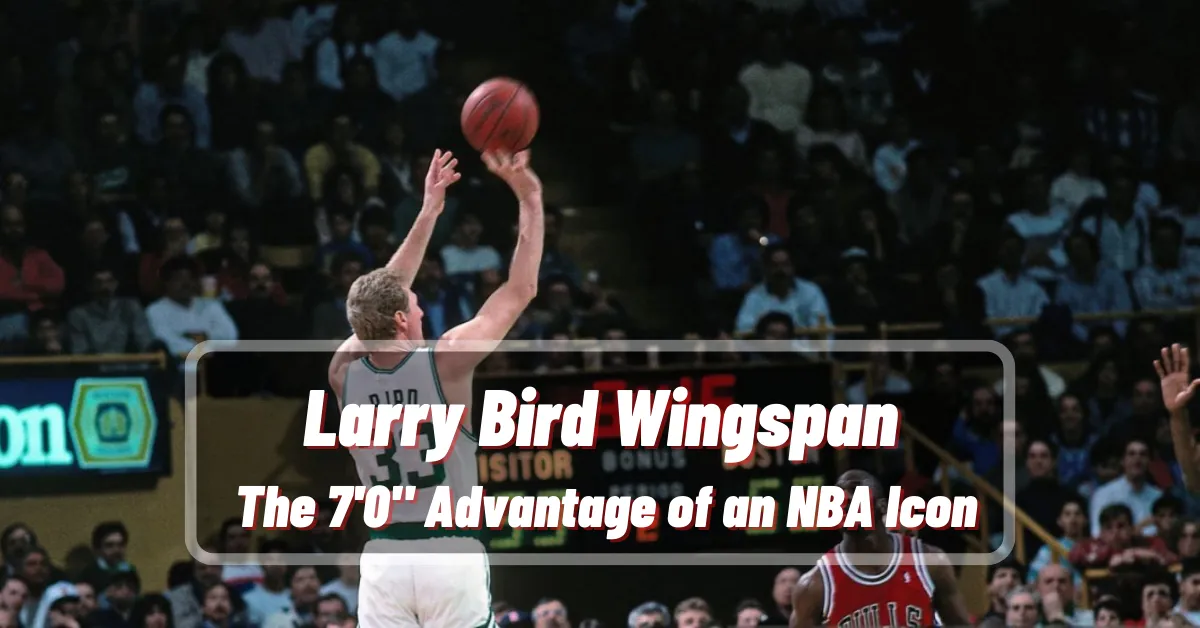 Larry Bird Wingspan The 7'0 Advantage of an NBA Icon image via getty images